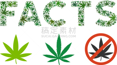 标签,镶嵌图案,瘾君子,绿色,准确,多样,尊敬