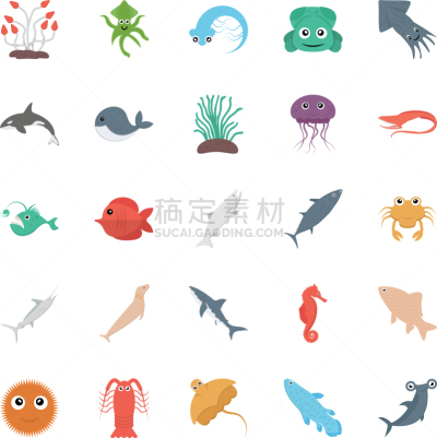 海洋生命,绿藻,软甲类,图像,水母,鲸,海豚,动物,海鱼,矢量