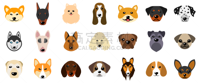 狗,动物头,分离着色,宠物,纯种犬,大麦町,梗犬,图像,杜宾犬,收集