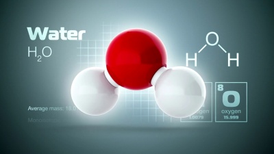 水分子
