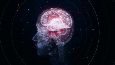 颅骨的3D动画