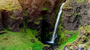 冰岛风景如画的森林和山脉。野生的蓝色羽扇豆花在夏天开花。最美的瀑布