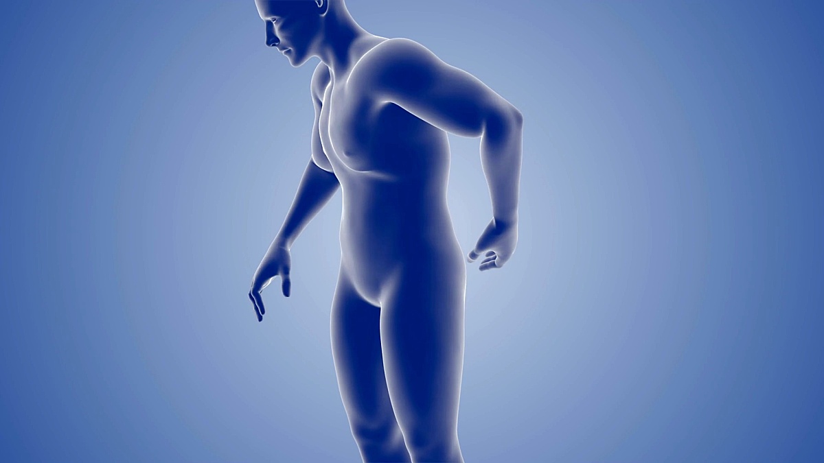 背部疼痛或伤害3D成人男性医学