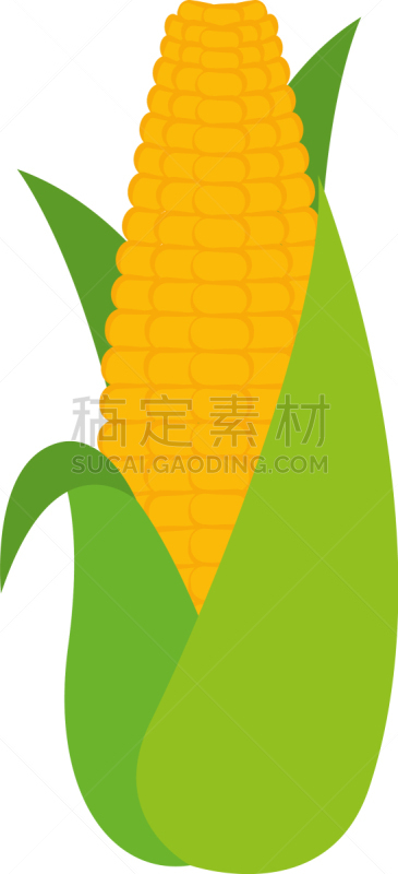 corn cob icon