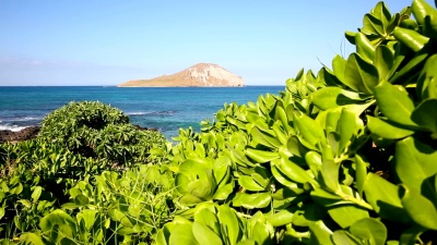 夏威夷瓦胡岛迎风的Makapuu海滩上的兔子岛