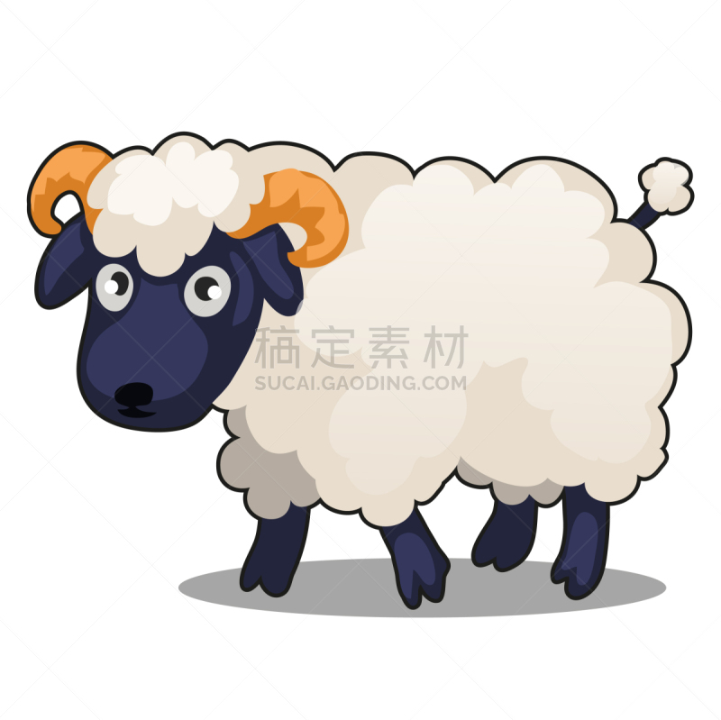 可爱的,小的,分离着色,牲畜,绵羊,农业,外套,野生动物,脊椎动物,站