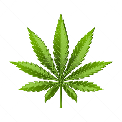 叶子,计算机图标,除草,背景分离,药,花盆,简单,枝繁叶茂,草,植物