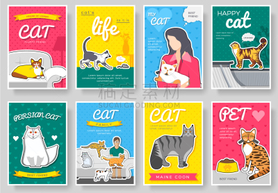 纯种犬,动物,小册子,猫,瘦弱,成一排,卡片,舞台,卷着的,坐