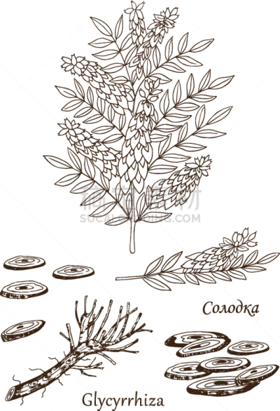 数字2,分离着色,白色,有机食品,自然,健康保健,草本,图像,豆,叶子