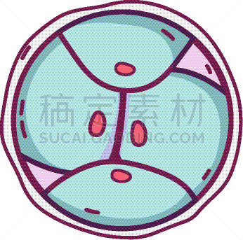 生物学,脱氧核糖核酸,胚胎,卵子,人,科学,生物科技,健康保健,分割