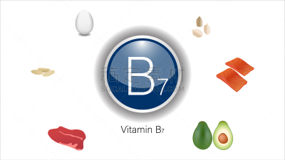 维生素B,数字7,酸,蔬菜,谷物,新陈代谢,食品,维生素,依靠,烹调