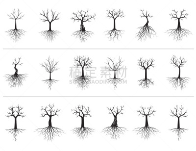 园林,植物,绘画插图,根部,黑色,矢量,概念,分离着色,白色背景,树