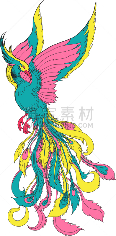 菲尼克斯市,鸟类,火,热,野生动物,翅膀