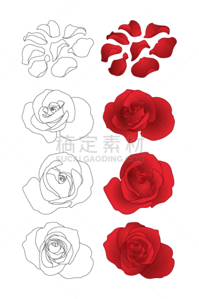 玫瑰,花瓣,分离着色,轮廓,红色,清新,花朵,花蕾,芳香疗法,布置
