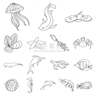 轮廓,多样,海洋生命,计算机图标,分离着色,深的,果冻,海产,图像,收集