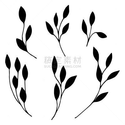 set ornamental leaves twigs in doodle style