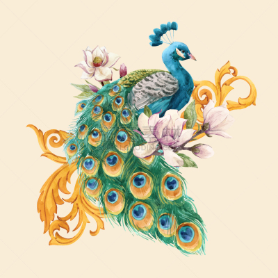 孔雀,水彩画,动物,春天,鸟类,艺术品,植物,复古,绘制,花
