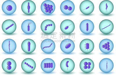 圆形,紫色,细菌,绿色,蓝色,平坦的,生物学,微生物学,有毒物质,球体
