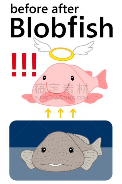 绘画插图,修改系列,性格,矢量,可爱的,翅膀,生物,动物头,改变形式,水下
