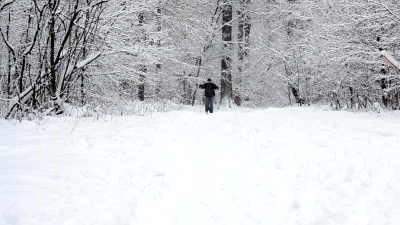 男子滑雪