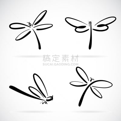 蜻蜓,分离着色,轮廓,自然,高雅,昆虫,品牌名称,矢量,绘制