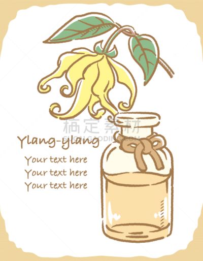 矢量,绘画插图,香熏油,芳香的,菜单,草本,垂直画幅,图像,香水,芳香疗法