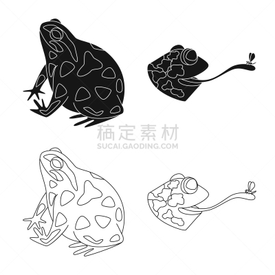 野生动物,藓沼,品牌名称,生物学,青蛙,动物,牛蛙,舌头,两栖纲,布置