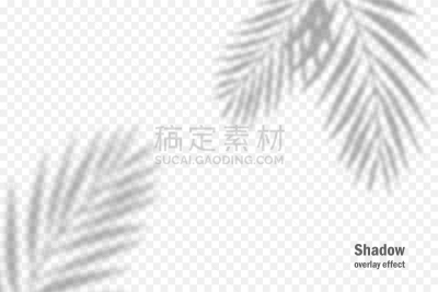 阴影,植物,图像特效,透明,多层效果,枝,叶子,矢量,光,柔和