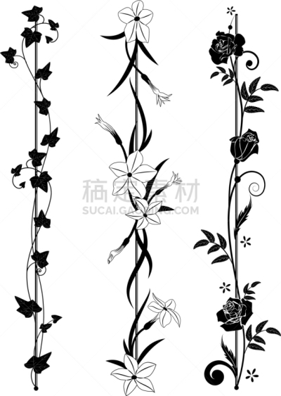 垂直画幅,分线规,轮廓,白色,华丽的,高雅,常春藤,花,布置,弯曲