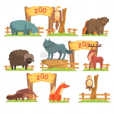 动物园,在之后,野外动物,网栅栏,图像,公牛,猫头鹰,食蚁兽,动物,鹿