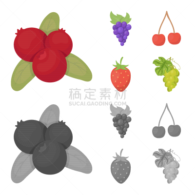 水果,浆果,符号,分离着色,忍冬,红色,清新,秋天,设计,收集