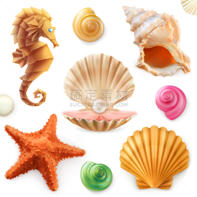 海星,贝壳,软体动物,海马,图标集,蜗牛,三维图形,螺线,野生动物,自然美