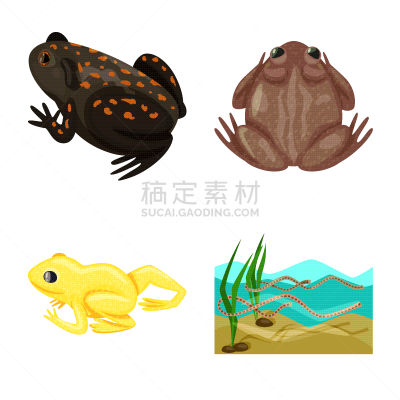 蛙,图标集,式样,生物学,有毒物质,野生动物,池塘,草,动物,两栖纲