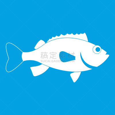白色,海洋,鲈,图标,自然,海产,清新,食品,图像,烹调