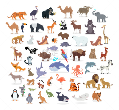 动物,白色,全身像,猴子,长度,多样,猿,狮子,海豚,收集
