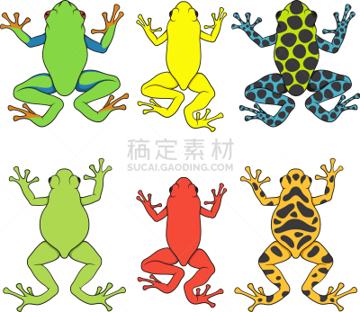 鸡尾酒,彩色图片,树蛙,可爱的,野生动物,环境,青蛙,动物,阴影,布置