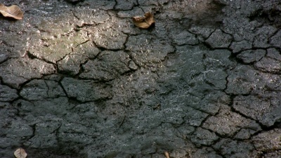 破裂的地面得到水