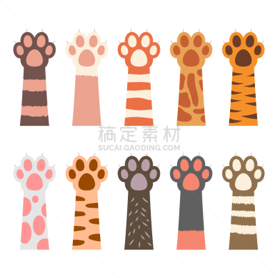 爪子,矢量,猫,绘画插图,分离着色,白色背景,可爱的,脚印,背景分离,野生动物