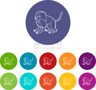 彩色图片,猴子,狮尾狒狒,计算机图标,婴儿,轮廓,羊毛,可爱的,性格,自然美