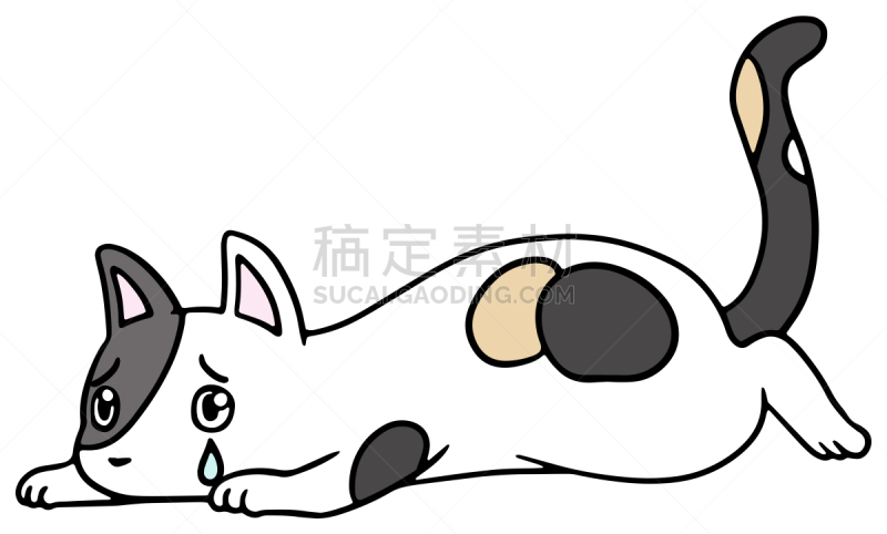 矢量,绘画插图,猫,惊骇,十二生肖,恐怖,简单,动物,宠物商店