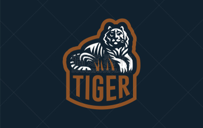 图像,条纹,暗色,运动,猫,模板,哺乳纲,设计,进攻