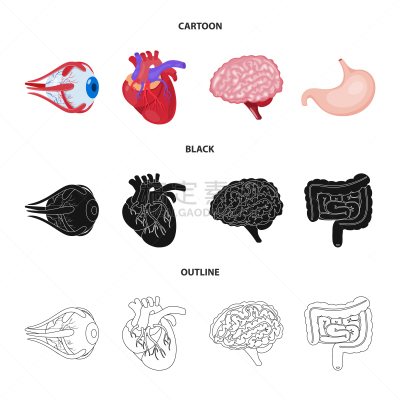 生物学,科学,标志,健康保健,视力,角膜,植物群,主动脉,空肠,思考