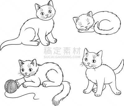 轮廓,小猫,个性,四只动物,可爱的,摆拍,自然美,小的,坐,站