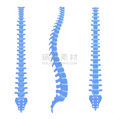 绘画插图,矢量,脊柱,有序,健康保健,姿态,品牌名称,背景,科学,痛苦
