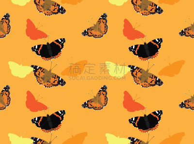 背景,苎胥蝶,蝴蝶,壁纸,泰国,翅膀,女人,生物,四方连续纹样,夏天
