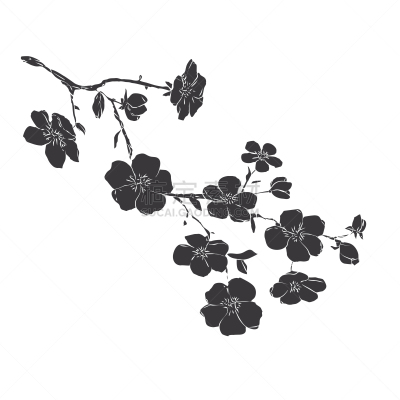 花朵,嫩枝,苹果,樱桃,自然美,春天,植物,树,花,剪影