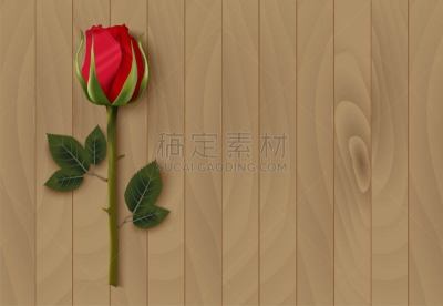 红色,情人节,玫瑰,留白,自然,白昼,请柬,符号,浪漫,泰国