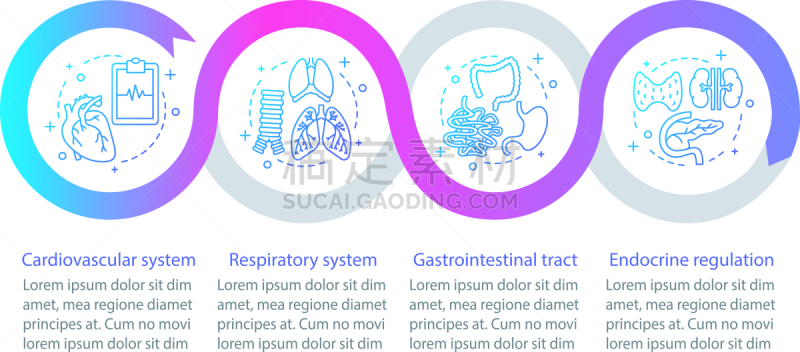 健康保健,模板,信息图表,矢量,商务,流程图,有序,图表,药,策略