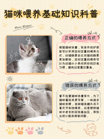 宠物知识科普手帐风小红书配图