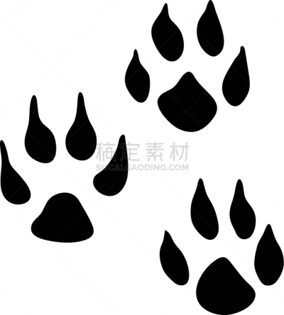脚印,鼬,可爱的,脉搏图,野生动物,哺乳纲,小的,动物,圆木